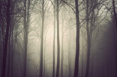 Kim Holtermand