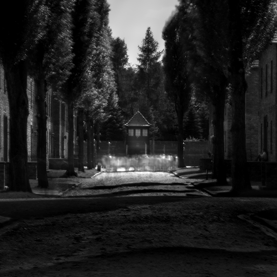 2008-5-10 Auschwitz No 3 - Final 8-11-2008 550 2008-5-10 Auschwitz No 3 - Final 8-11-2008 550