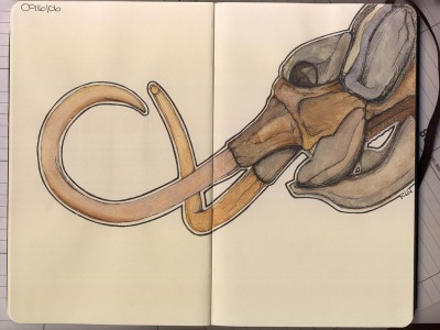 Moleskine Moleskine