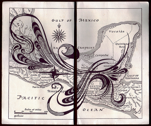 3361271468_6dc693fb52