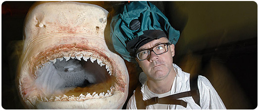 hirst_shark