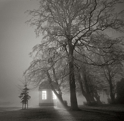 lightinthewindow lightinthewindow
