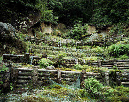yakushima_hill_03