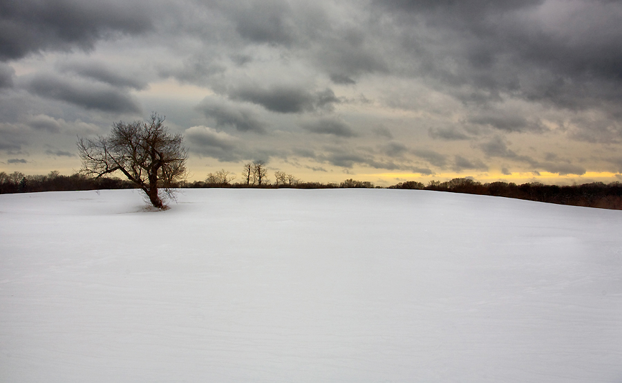20090310231542_img_225288_hdr 20090310231542_img_225288_hdr
