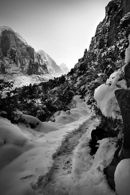 2009_006_0112