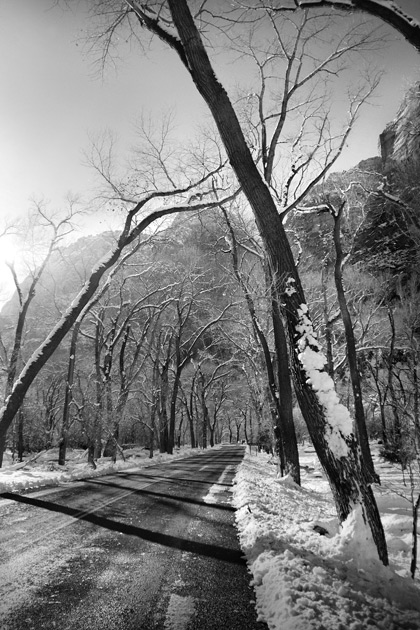 2009_007_0112