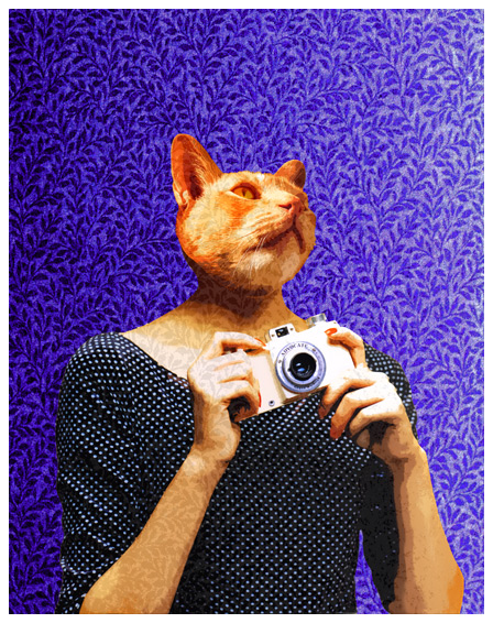 Woman - 26_illustr8a-illustration-portfolio-cat-with-camera Woman - 26_illustr8a-illustration-portfolio-cat-with-camera