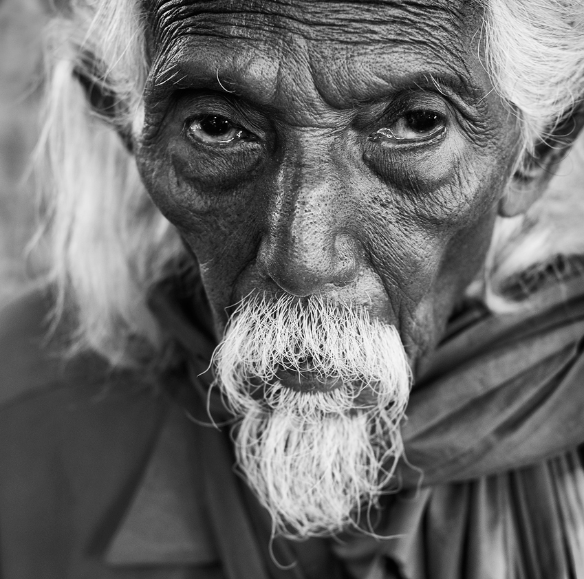 portrait - 28667 portrait - 28667