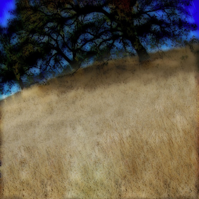 Live Oak Hill Live Oak Hill
