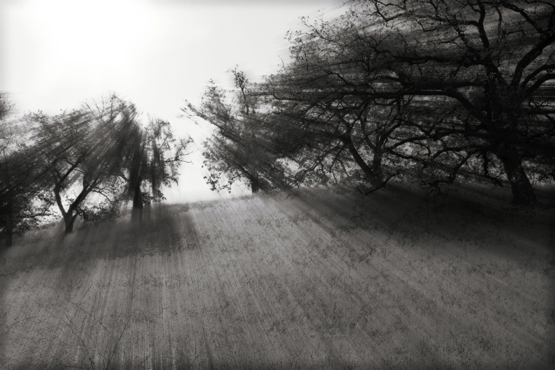 Radiant Canyon (bw) Radiant Canyon (bw)