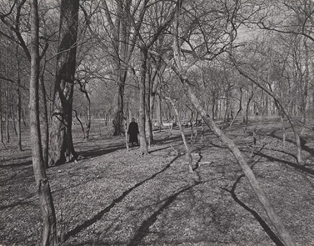 Harry Callahan4 Harry Callahan4
