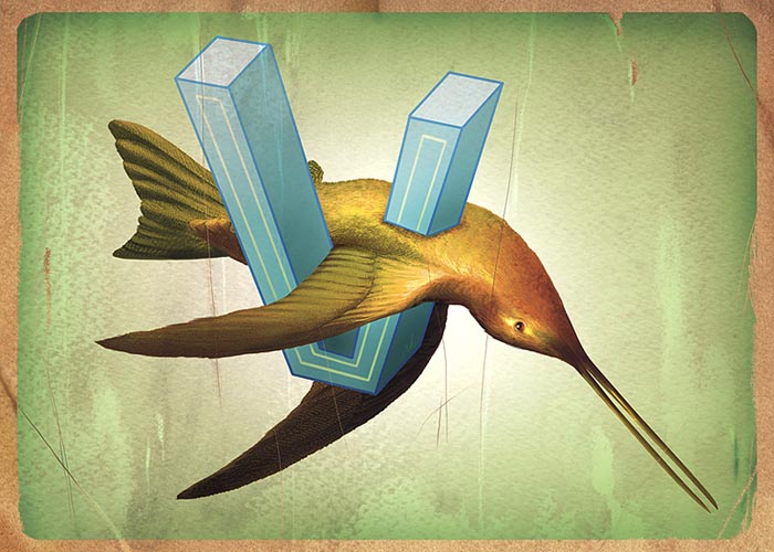 avian_virus avian_virus