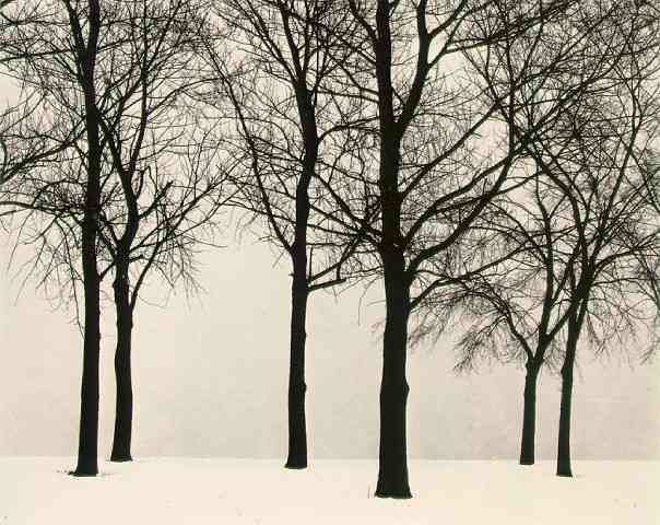 Harry Callahan9 Harry Callahan9