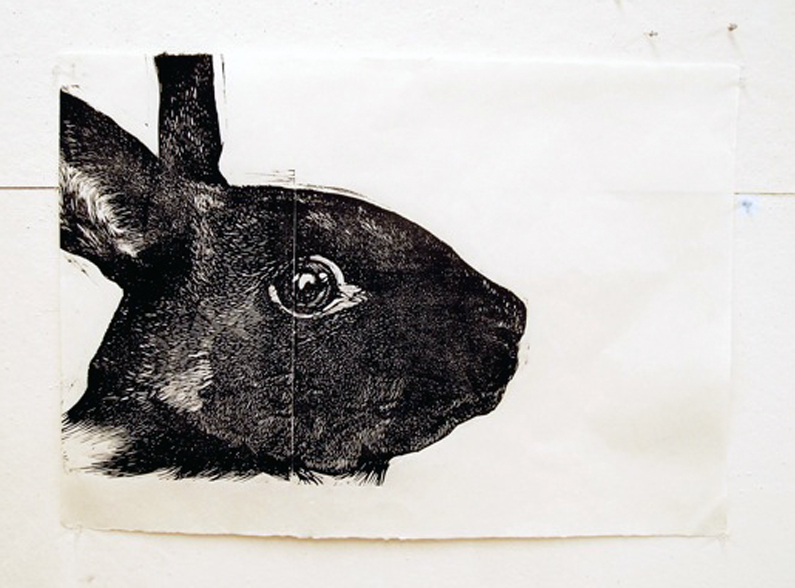 f_GAIA_rabbit