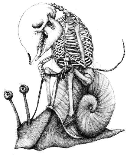 lumaca