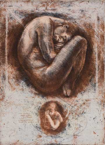 s_embryo2_I s_embryo2_I