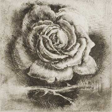 s_sarahsrose_l s_sarahsrose_l