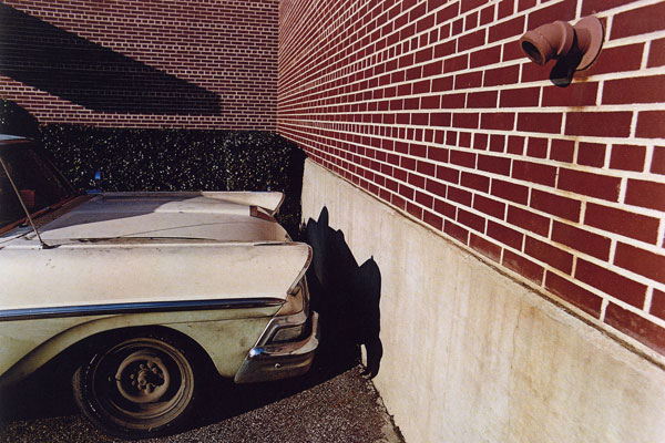 William Eggleston4
