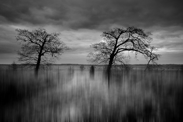 Chris Friel3