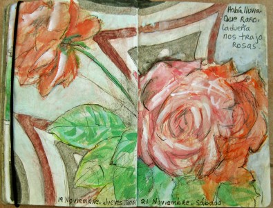 Sharon Frost6