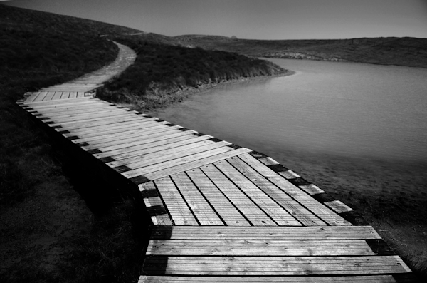 Chris Friel2