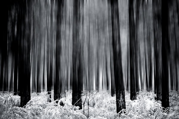 Chris Friel5