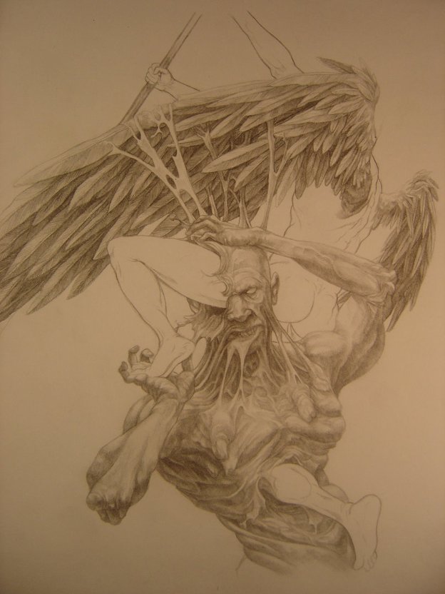 martin hoffmann4