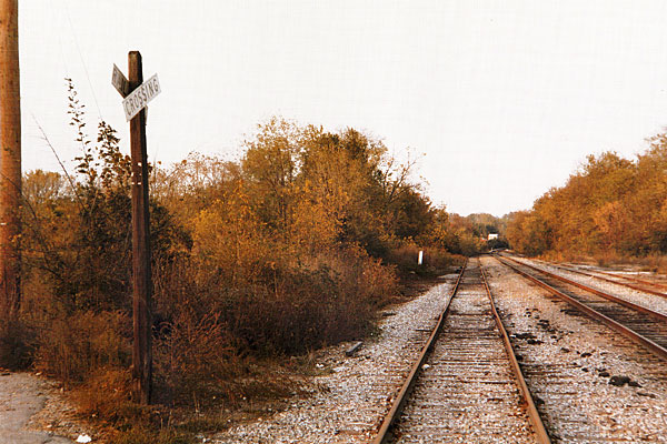 William Eggleston5