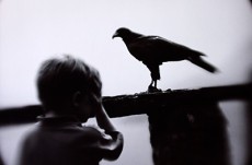 Keith Carter6