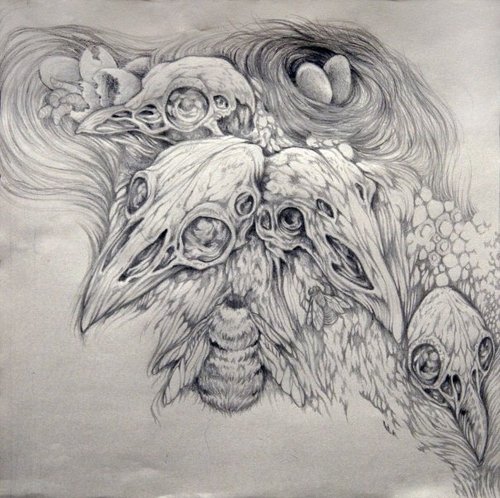 Caitlin Hackett3