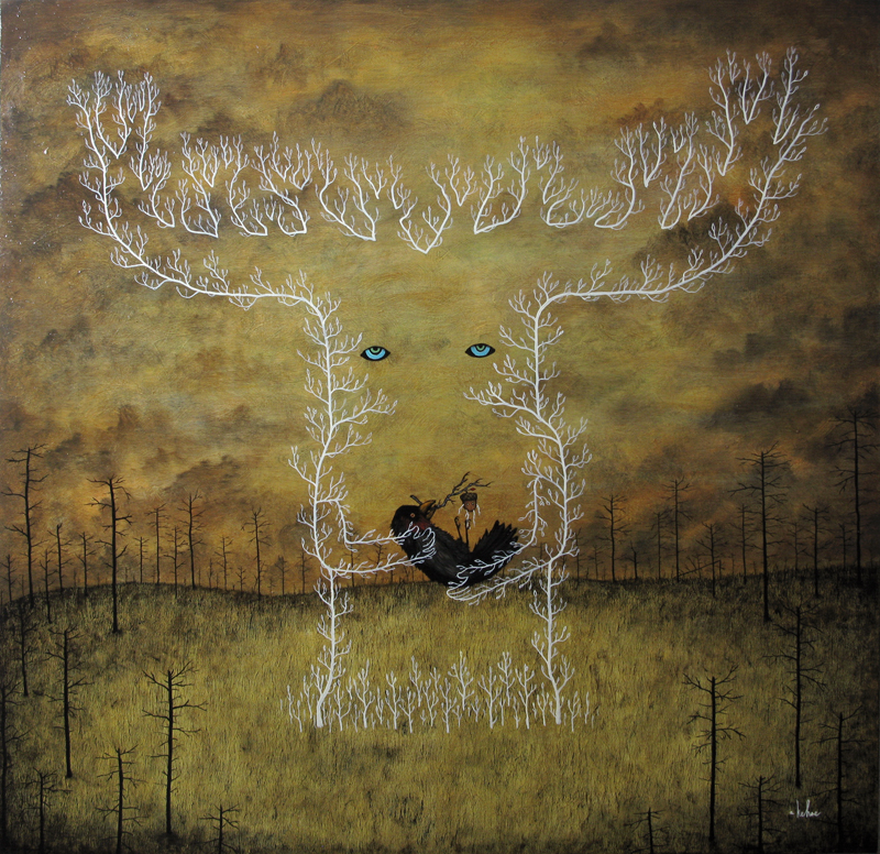 Andy Kehoe2