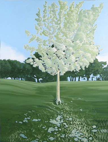 Ian Laver6