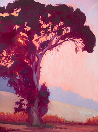 Carol Gray-Weihman1