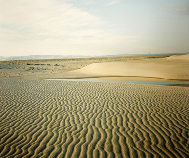 Richard Misrach3