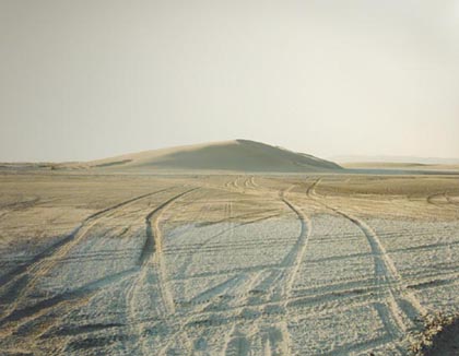 Richard Misrach6