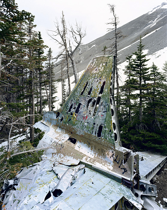 Richard Mosse8