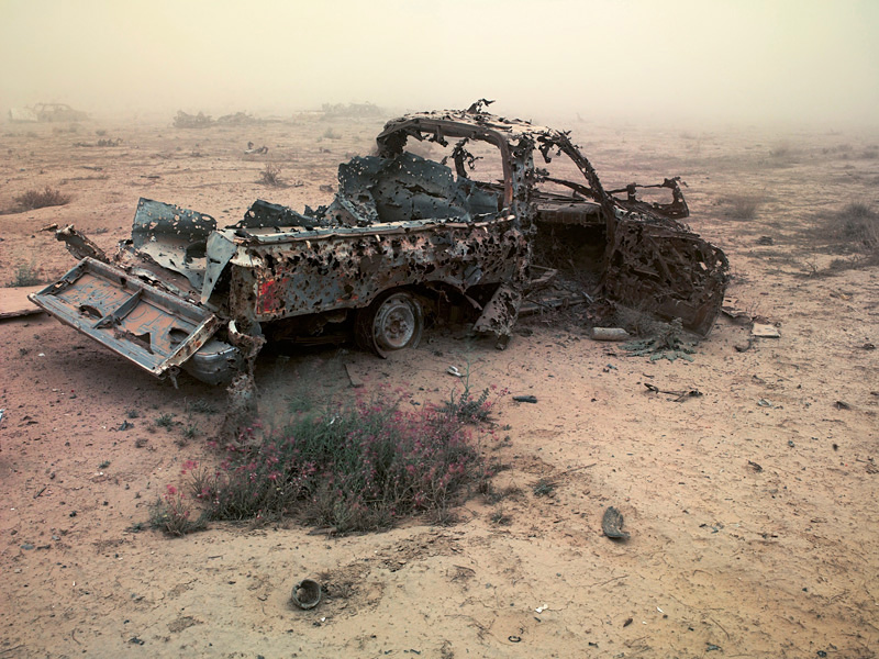 Richard Mosse6