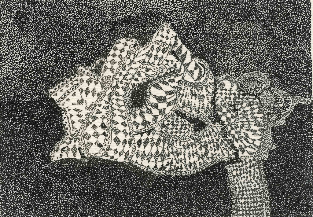 Mario Esteves6