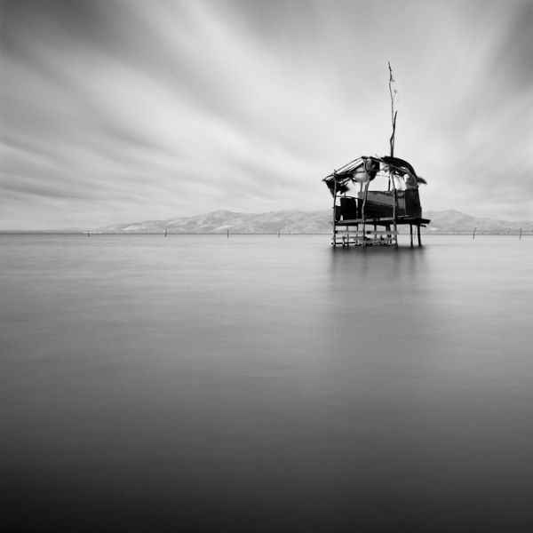 moises levy