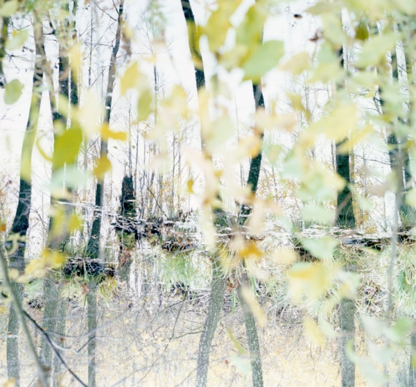 Ori Gersht2