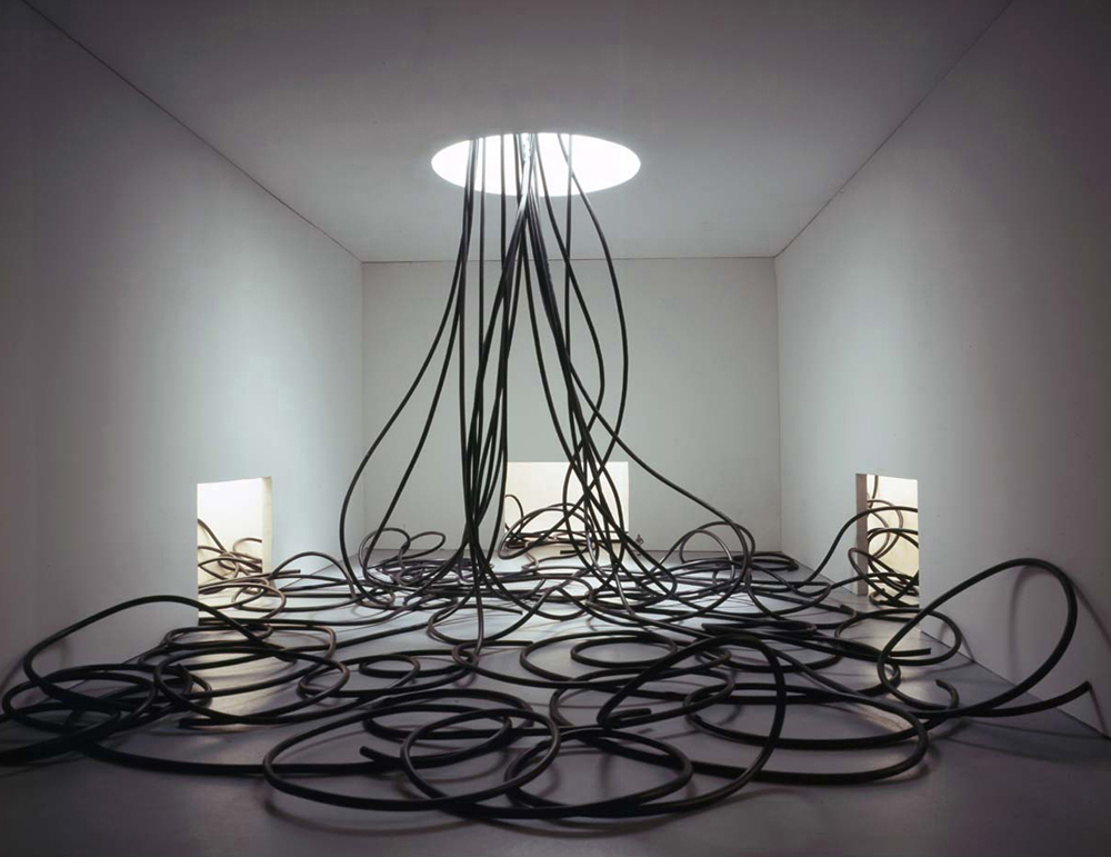 David DiMichele