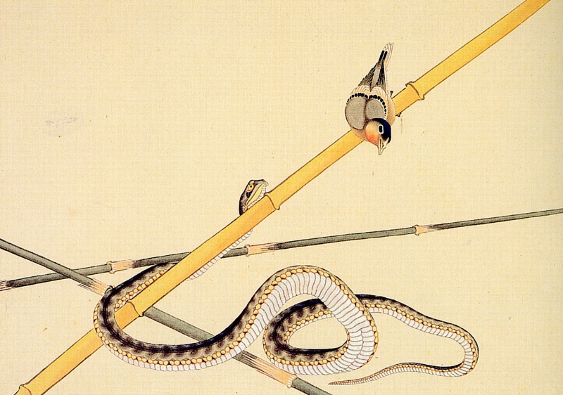 Katsushika Hokusai 1760-1849