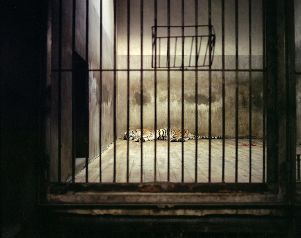 Max Hamilton
