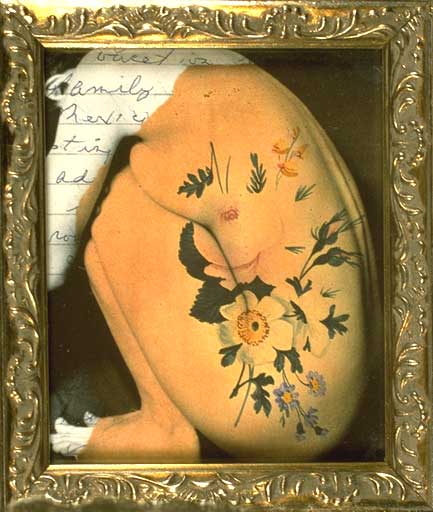 Mary Daniel Hobson