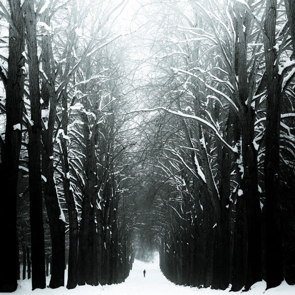 Andreas Levers