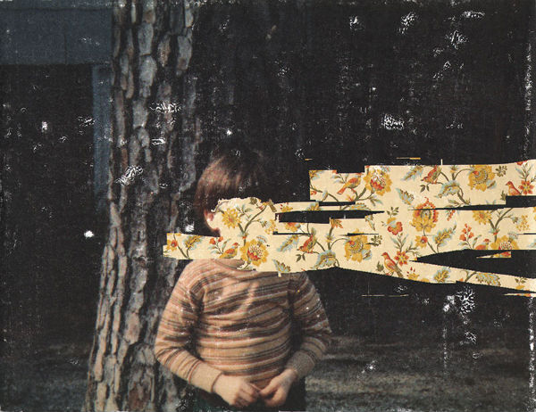 Hollis Brown Thornton