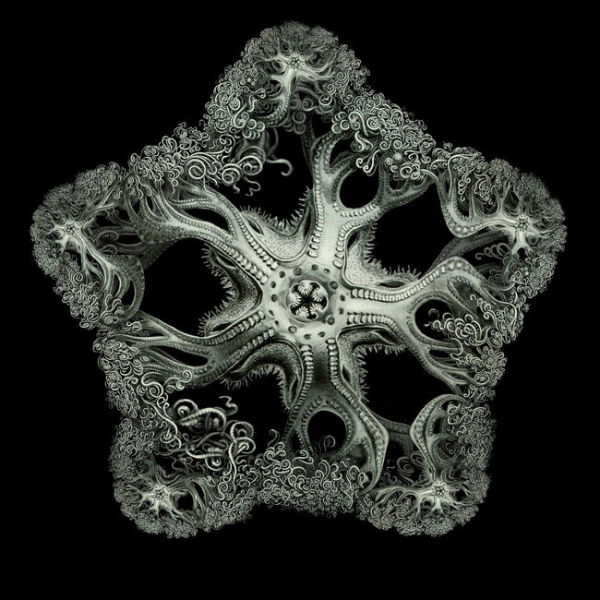 Fractals