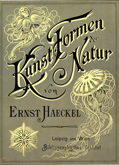 aa Kunstformen_der_Natur_cover