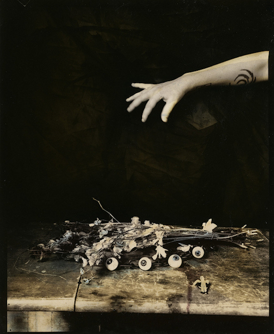 escape into life Lauren E. Simonutti 7