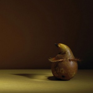 poire candice milon